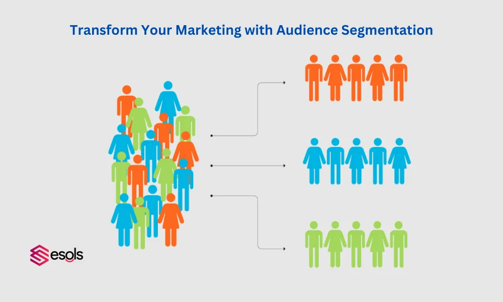 Marketing with Audience Segmentation